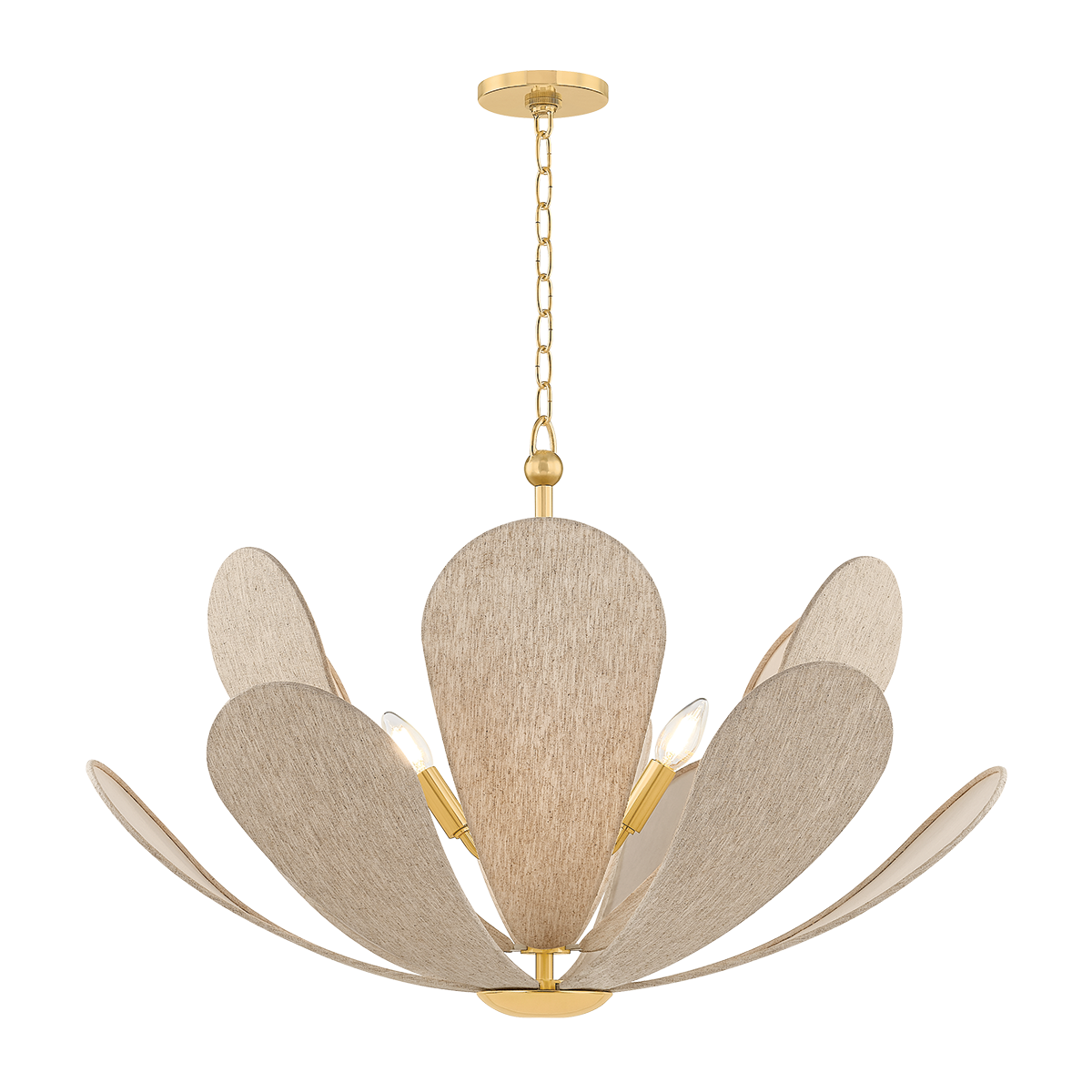 Amanda Chandelier