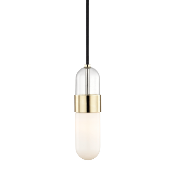 Emilia 1 Pendant | POLISHED BRASS
