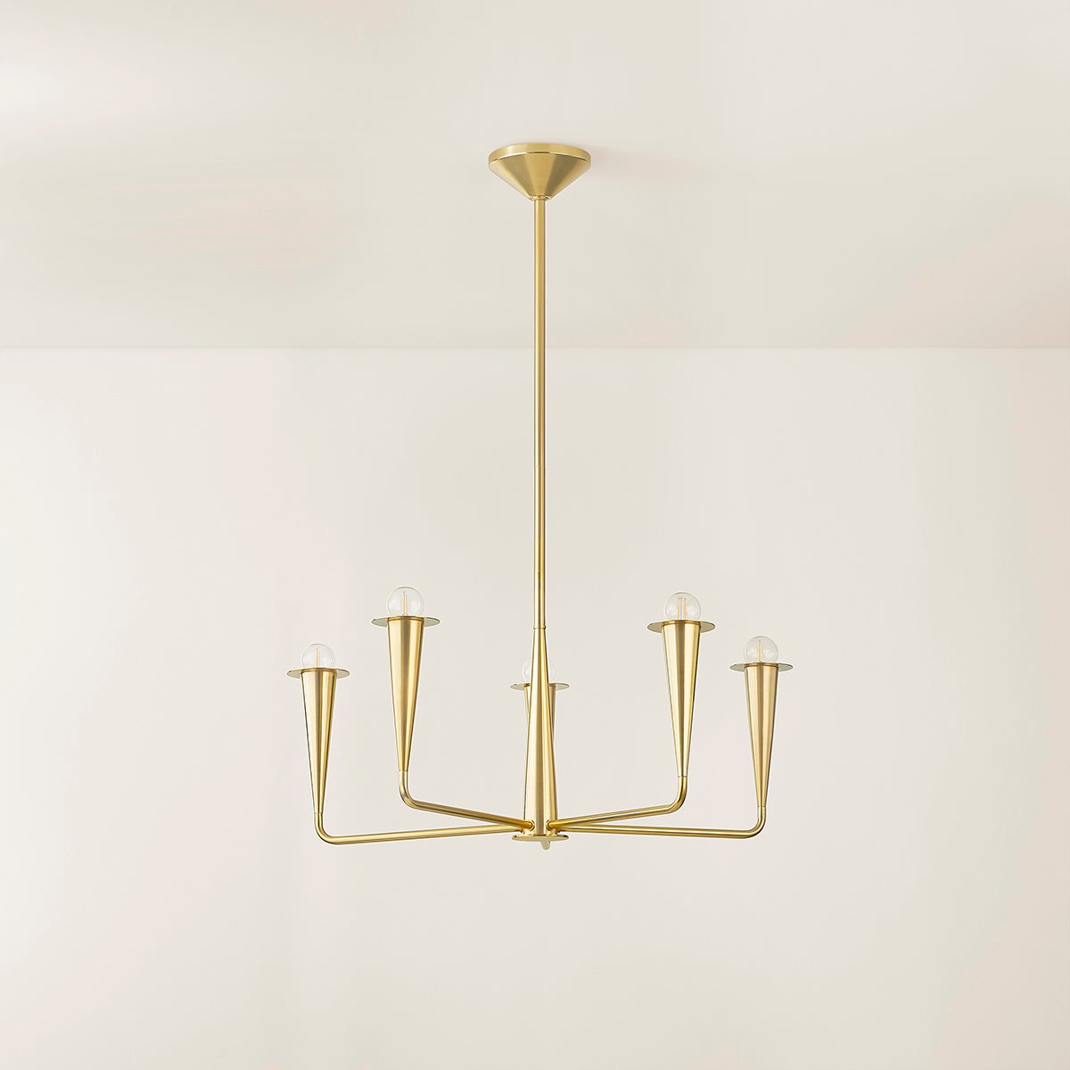 Mitzi Danna Chandelier
