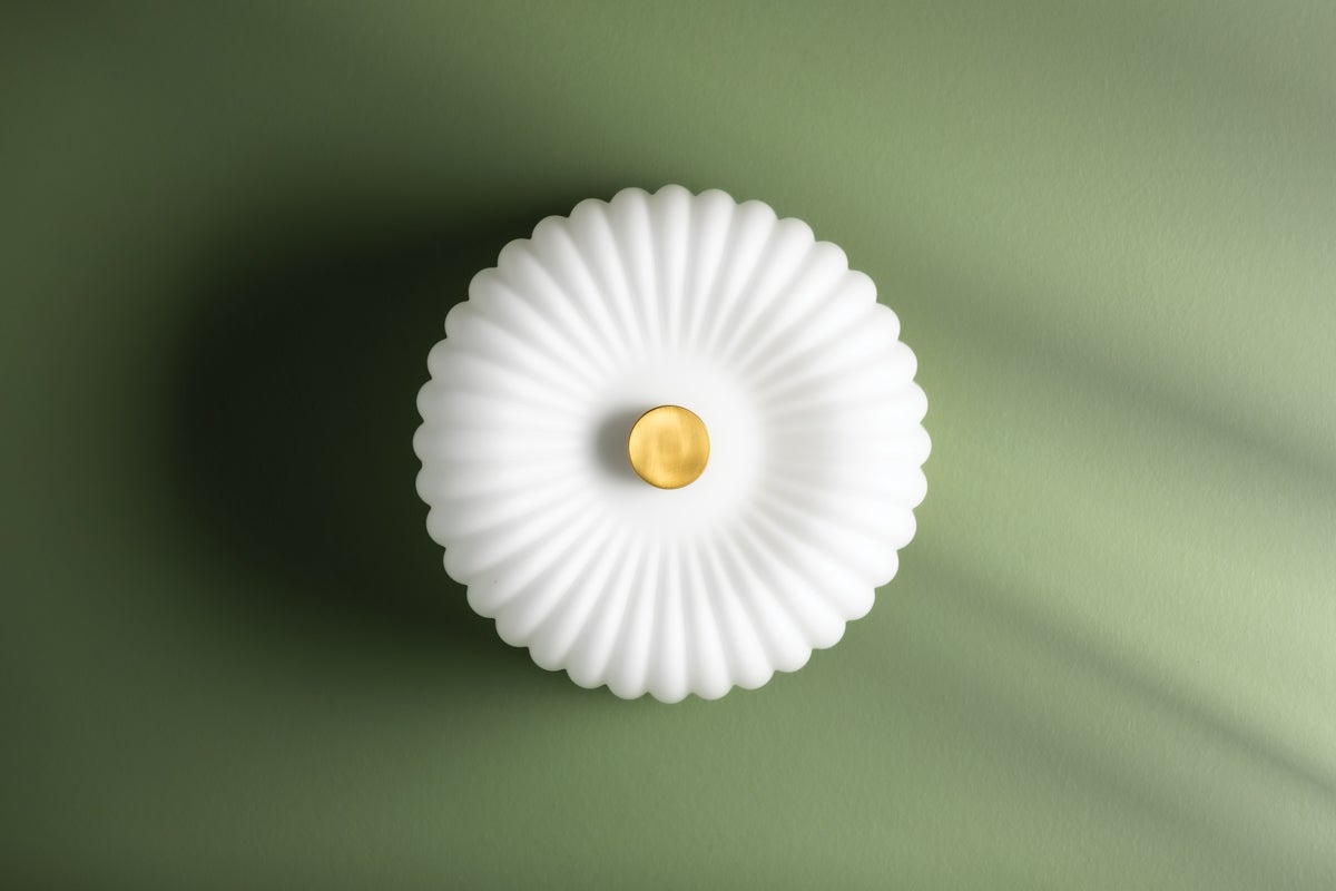 齊*3様 ミライグリッシュ ミライグリッシュセット ミライグリッシュセット 51KflmbZrPL._AC_UF350,